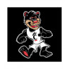 Auto Decal- Cincinnati Bearcat Walking Mascot-4x4