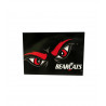 Cincinnati Bearcats Mascot Eyes Postcard by Fanatic Cards
